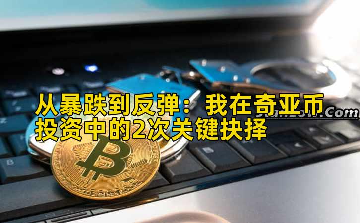 从暴跌到反弹：我在奇亚币投资中的2次关键抉择