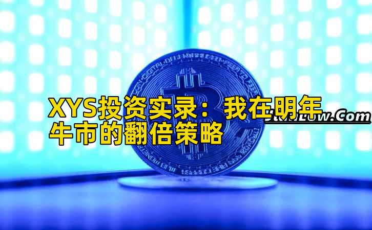 XYS投资实录:我在明年牛市的翻倍策略