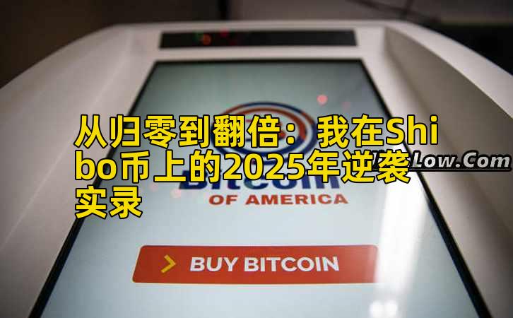 从归零到翻倍：我在Shibo币上的2025年逆袭实录