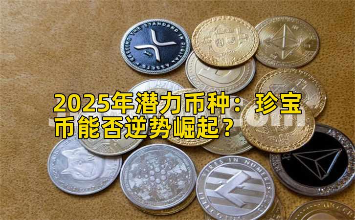 2025年潜力币种：珍宝币能否逆势崛起？