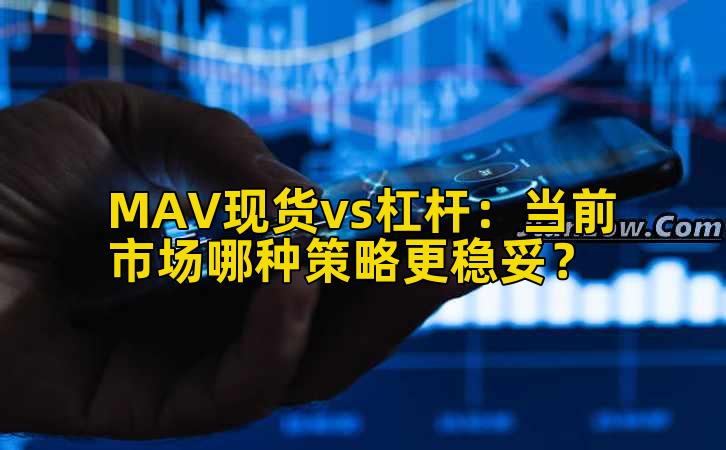 MAV现货vs杠杆:当前市场哪种策略更稳妥?