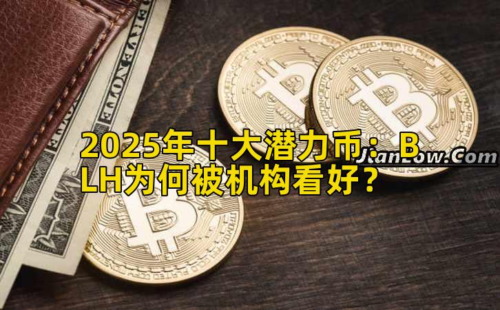 2025年十大潜力币：BLH为何被机构看好？