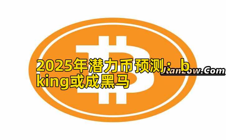 2025年潜力币预测：bking或成黑马