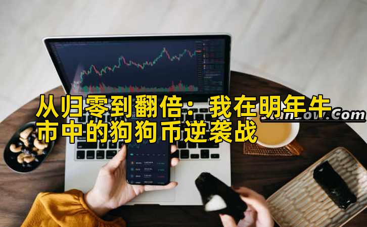 从归零到翻倍:我在明年牛市中的狗狗币逆袭战