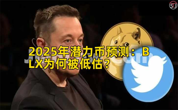 2025年潜力币预测：BLX为何被低估？