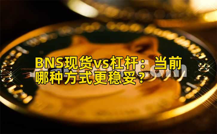 BNS现货vs杠杆:当前哪种方式更稳妥?