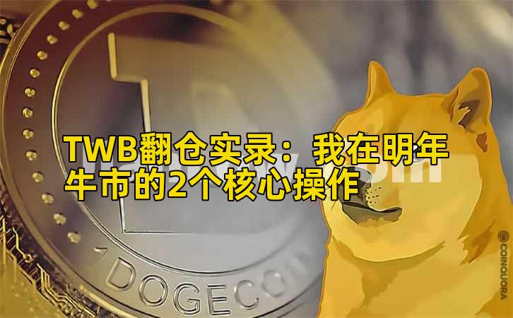TWB翻仓实录：我在明年牛市的2个核心操作