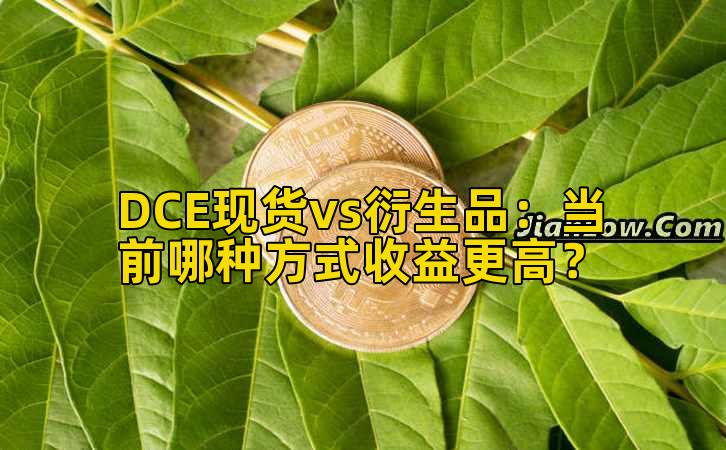 DCE现货vs衍生品:当前哪种方式收益更高?