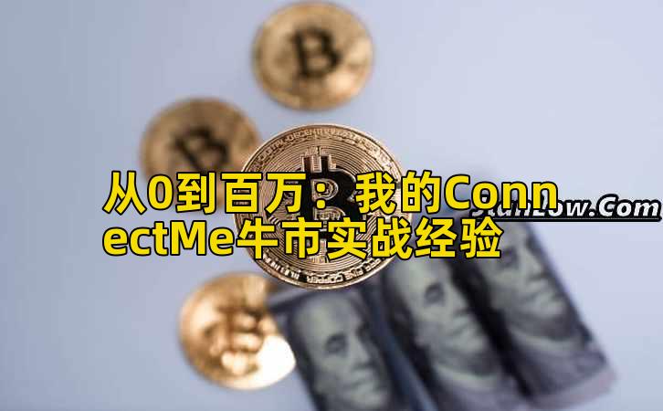 从0到百万：我的ConnectMe牛市实战经验