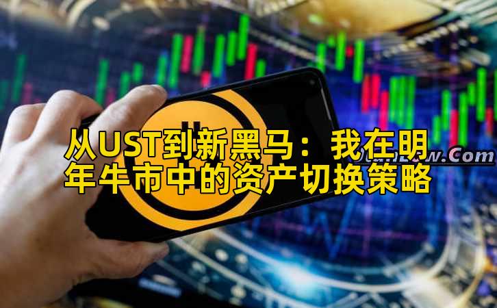 从UST到新黑马：我在明年牛市中的资产切换策略