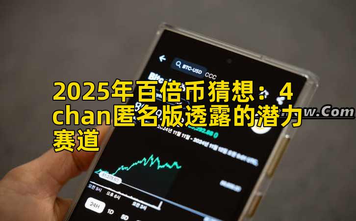 2025年百倍币猜想：4chan匿名版透露的潜力赛道