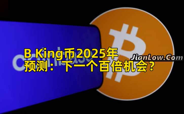 B King币2025年预测:下一个百倍机会?