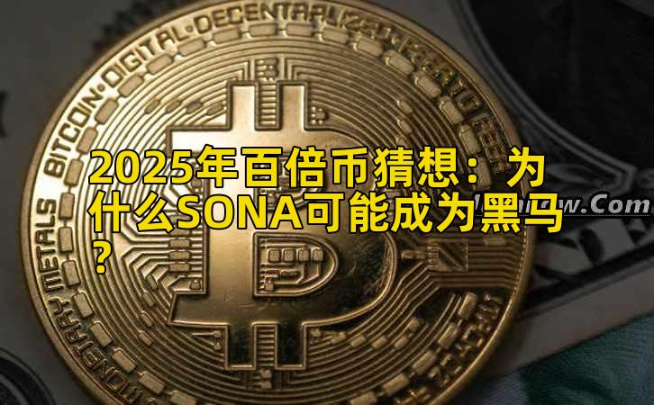 2025年百倍币猜想：为什么SONA可能成为黑马？