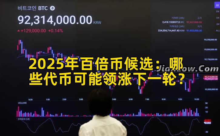 2025年百倍币候选：哪些代币可能领涨下一轮？