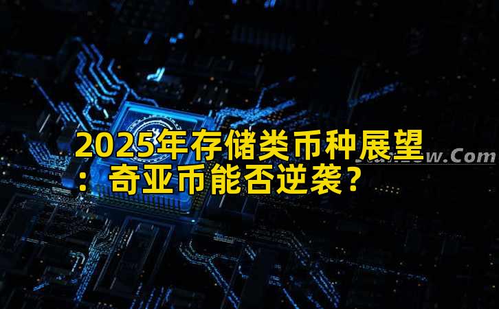2025年存储类币种展望：奇亚币能否逆袭？