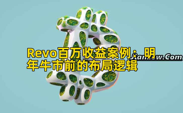 Revo百万收益案例：明年牛市前的布局逻辑