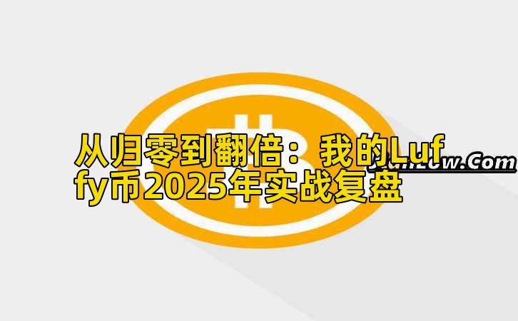 从归零到翻倍：我的Luffy币2025年实战复盘