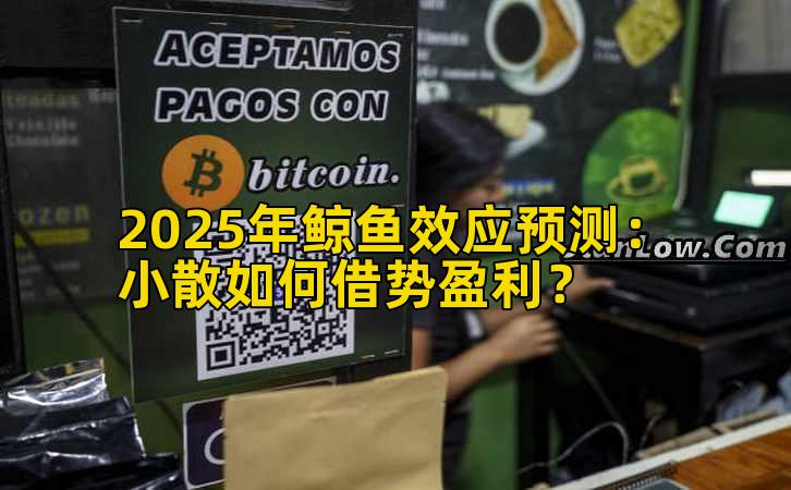 2025年鲸鱼效应预测：小散如何借势盈利？