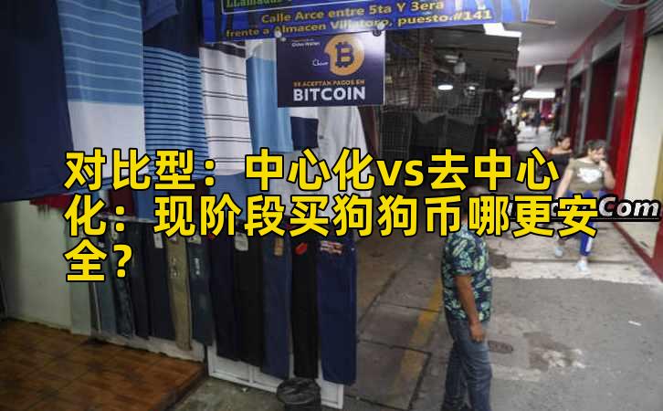对比型：中心化vs去中心化：现阶段买狗狗币哪更安全？