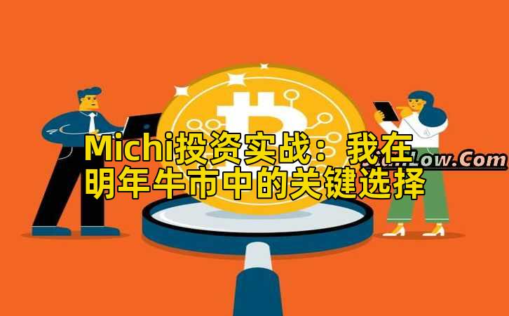 Michi投资实战：我在明年牛市中的关键选择