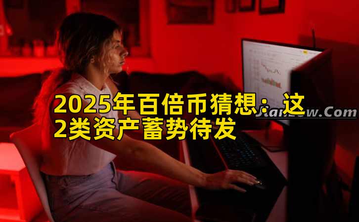 2025年百倍币猜想：这2类资产蓄势待发