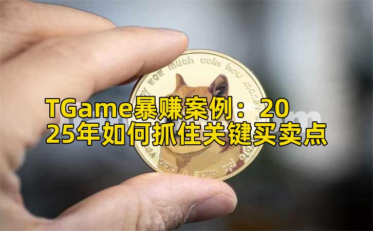 TGame暴赚案例：2025年如何抓住关键买卖点