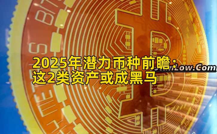 2025年潜力币种前瞻：这2类资产或成黑马
