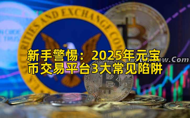 新手警惕：2025年元宝币交易平台3大常见陷阱