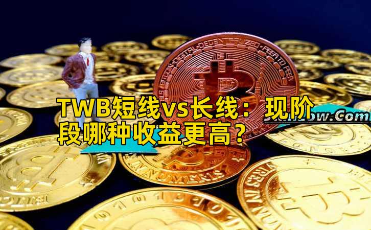 TWB短线vs长线:现阶段哪种收益更高?