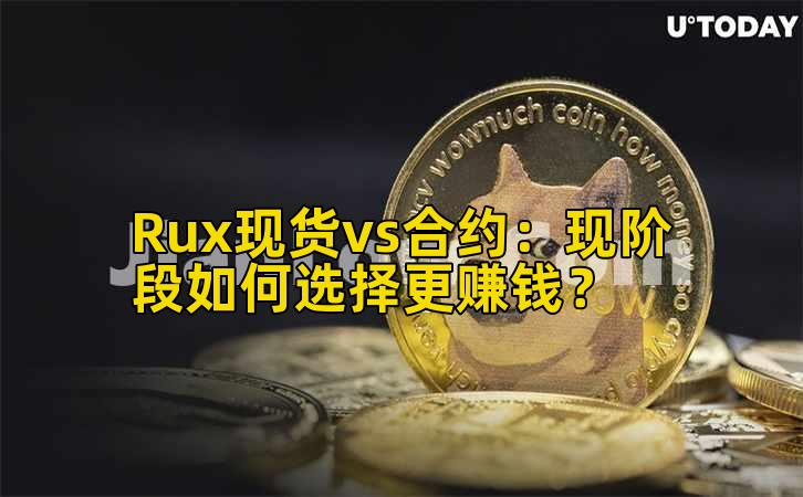 Rux现货vs合约:现阶段如何选择更赚钱?