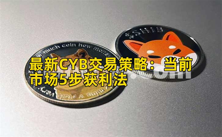 最新CYB交易策略:当前市场5步获利法