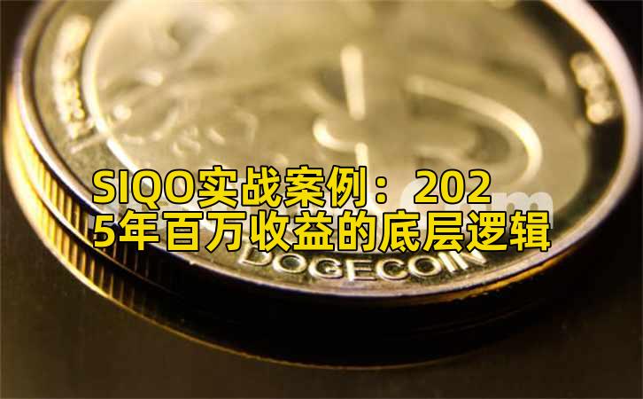 SIQO实战案例:2025年百万收益的底层逻辑