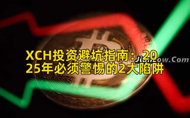 XCH投资避坑指南：2025年必须警惕的2大陷阱