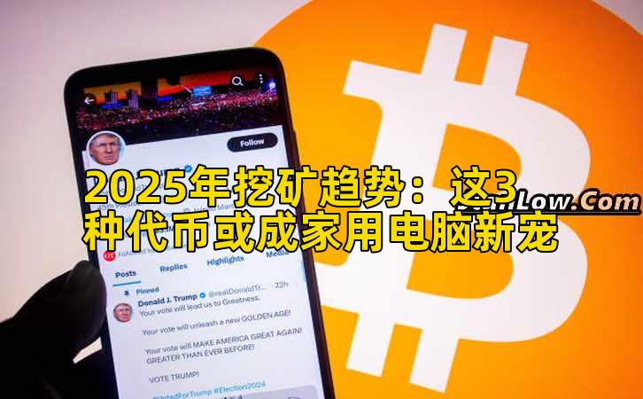 2025年挖矿趋势：这3种代币或成家用电脑新宠