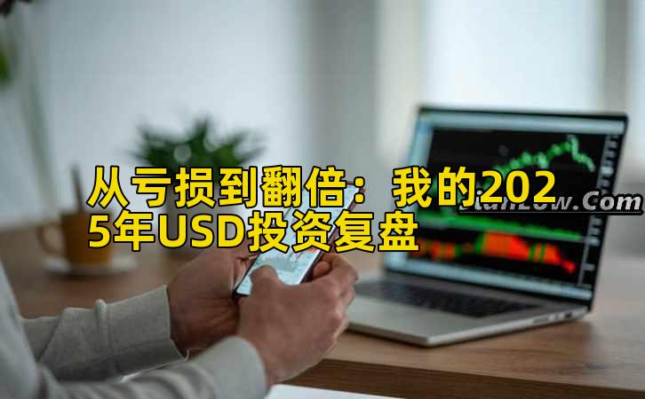 从亏损到翻倍：我的2025年USD投资复盘