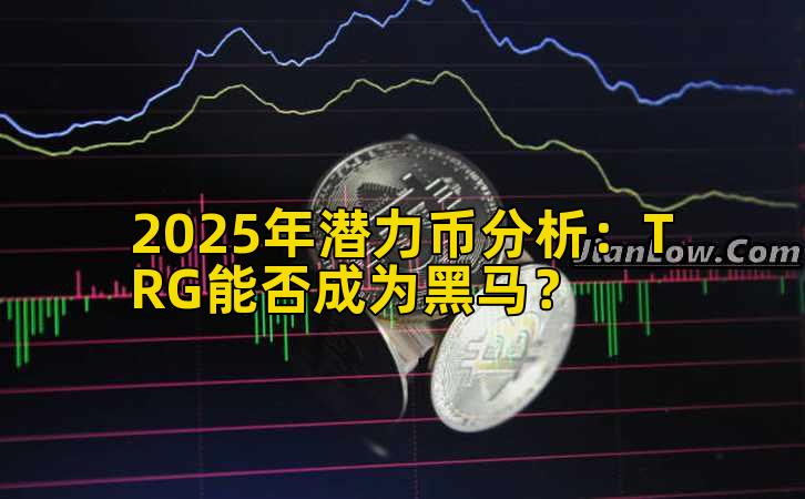 2025年潜力币分析：TRG能否成为黑马？