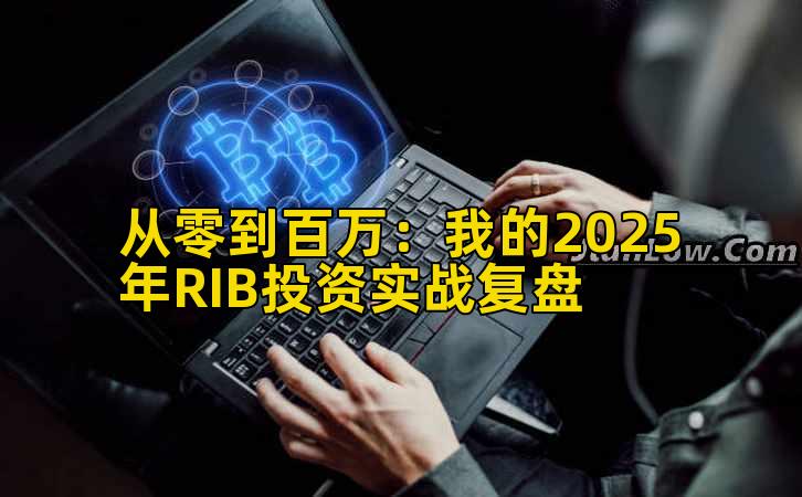 从零到百万：我的2025年RIB投资实战复盘