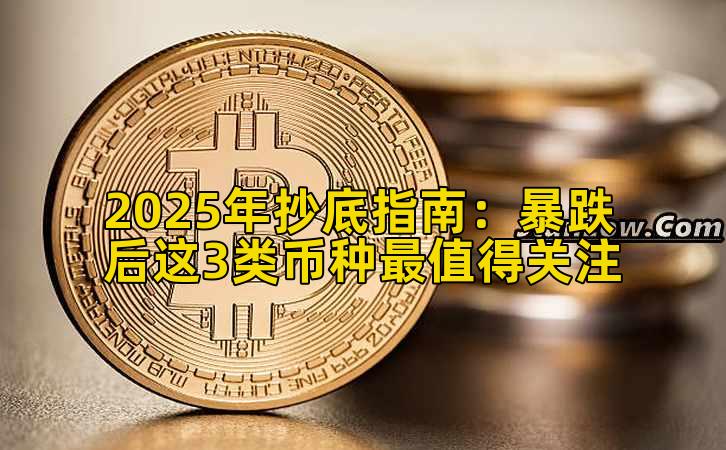 2025年抄底指南：暴跌后这3类币种最值得关注