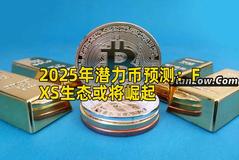 2025年潜力币预测：FXS生态或将崛起