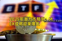 2025年潜力币预测：MEX或将迎来爆发
