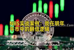 NBS实战案例：我在明年牛市中的翻倍逻辑