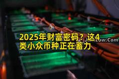 2025年财富密码？这4类小众币种正在蓄力