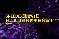 SPEEDEX现货vs杠杆：现阶段哪种更适合新手？