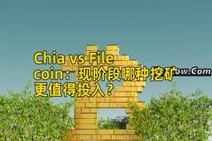 Chia vs Filecoin：现阶段哪种挖矿更值得投入？