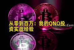 从零到百万：我的QNO投资实战经验