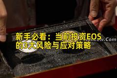 新手必看：当前投资EOS的3大风险与应对策略