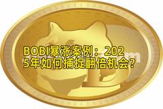 BOBI暴涨案例：2025年如何捕捉翻倍机会？
