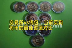 交易所vs钱包：当前买狗狗币的最佳渠道对比