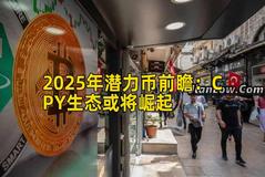 2025年潜力币前瞻：CPY生态或将崛起