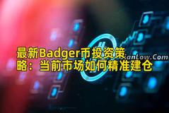 最新Badger币投资策略：当前市场如何精准建仓